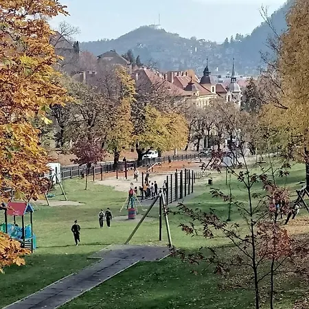 Vintage Gray Braşov